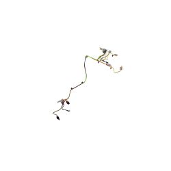 Toro 138-6892 Wasp Wire Harness 