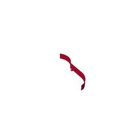 Toro 144-3805-01 Front Baffle Assembly 