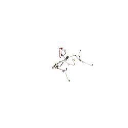 Toro 147-2363 Harness-Wire, Zmaster - TOR 147-2363