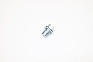 Ariens 20001303 Oil Drain Plug w/ Washer 