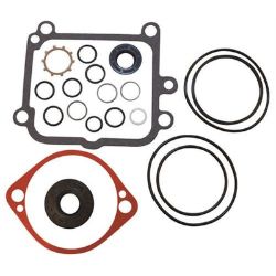 Ariens 58800300 Pump Seal Kit 2513018 