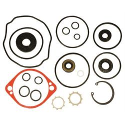 Ariens 59203600 Pump Seal Kit 