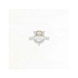 Briggs & Stratton 19X35MA 43-0.74 X .04 S Washer 