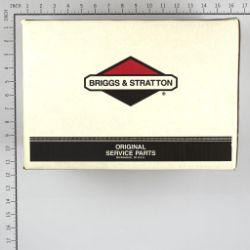 Briggs & Stratton 206376GS Pump - BRS 206376GS