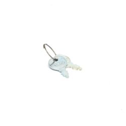 Briggs & Stratton 20729MA Keys & Ring - BRS 20729MA