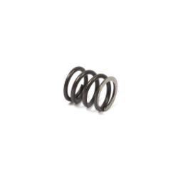 Briggs & Stratton 26826 Valve Spring - BRS 26826