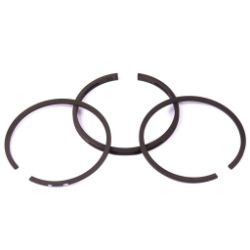 Briggs & Stratton 298982 Standard Ring Set 