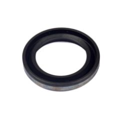 Briggs & Stratton 299819S Oil Seal - BRS 299819S