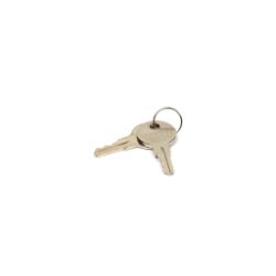 Briggs & Stratton 314290GS Latch Key - BRS 314290GS