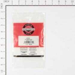 Briggs & Stratton 317897GS Check Valve Kit - BRS 317897GS