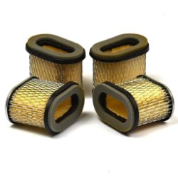 Briggs & Stratton 4224 Pack of 4 692446 - BRS 4224