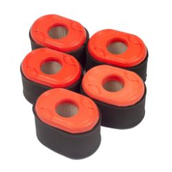 Briggs & Stratton 4238 Set of 5 796970 Air Filters - BRS 4238