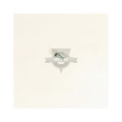 Briggs & Stratton 48901MA Screw 