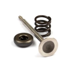 Briggs & Stratton 494191 Exhaust Valve 