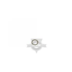 Briggs & Stratton 53737MA .924 ID X .10 Quad Ring 