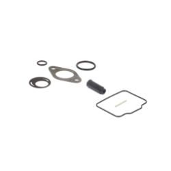 Briggs & Stratton 555605 Carburetor Overhaul Kit - BRS 555605