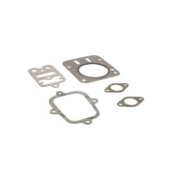 Briggs & Stratton 555636 Valve Gasket Set - BRS 555636