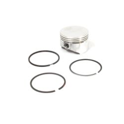 Briggs & Stratton 555660 Piston Assembly 