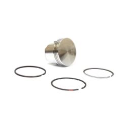 Briggs & Stratton 555661 Piston Assembly +.010 
