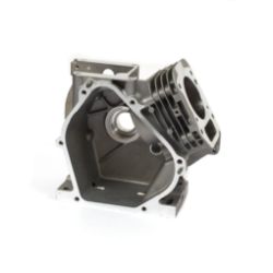 Briggs & Stratton 555705 Cylinder Assembly 