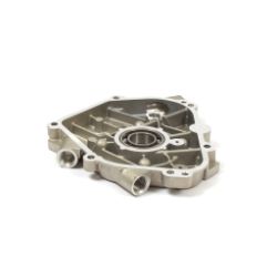 Briggs & Stratton 555706 Crankcase Cover 