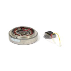 Briggs & Stratton 555773 Flywheel/Stator Kit - BRS 555773
