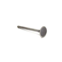 Briggs & Stratton 557017 Intake Valve 