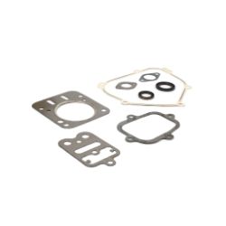 Briggs & Stratton 557110 Engine Gasket Set 