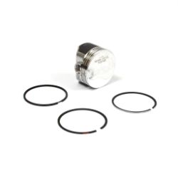 Briggs & Stratton 557122 Piston Assembly +.010 