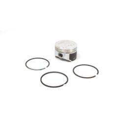 Briggs & Stratton 557123 Piston Assembly +.020 - BRS 557123