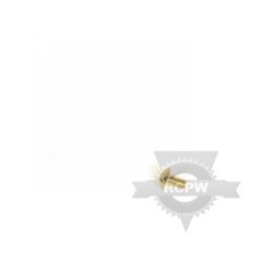Briggs & Stratton 56689MA 1/4-20X .50 Sl Screw 