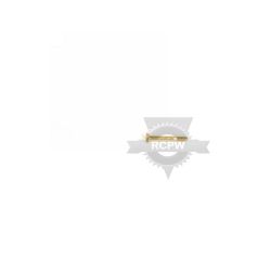 Briggs & Stratton 577015MA Shr 1/4-20 X 1.7 Screw 