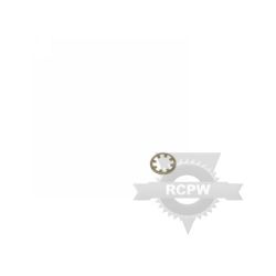 Briggs & Stratton 578159MA .375 X .04 T Ret E Ring 