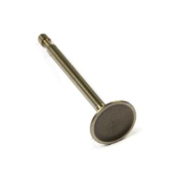 Briggs & Stratton 590393 Intake Valve - BRS 590393