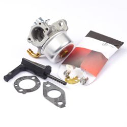 Briggs & Stratton 591299 Carburetor 