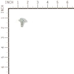Briggs & Stratton 594618 Screw - BRS 594618