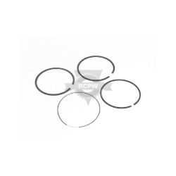 Briggs & Stratton 690162 Standard Ring Set 