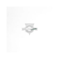 Briggs & Stratton 690250 Governor Spring 