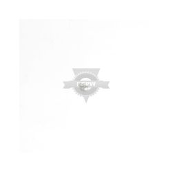 Briggs & Stratton 690345 Screw 