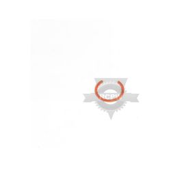Briggs & Stratton 690975 Piston Pin Lock 
