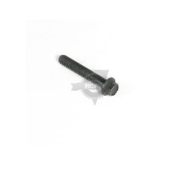 Briggs & Stratton 690976 Screw 