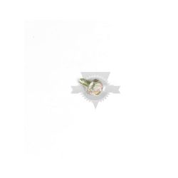 Briggs & Stratton 691003 Screw 