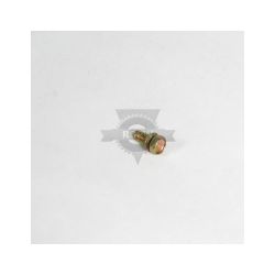 Briggs & Stratton 691058 Screw 