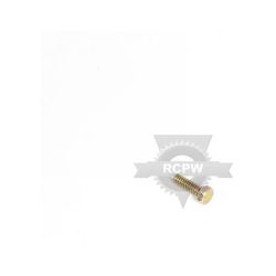Briggs & Stratton 691100 Screw 