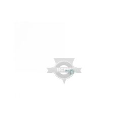 Briggs & Stratton 691437 Screw 