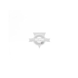 Briggs & Stratton 691636 Screw 