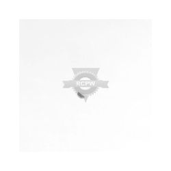 Briggs & Stratton 691639 Timing Key 