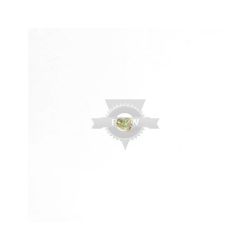 Briggs & Stratton 691657 Float Bowl Screw 