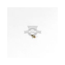 Briggs & Stratton 691688 Screw 
