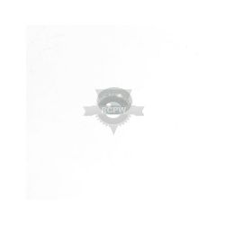 Briggs & Stratton 691750 Throttle Valve 